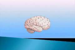Jimmy Leggs: Взрыв Мозга (Brain Fail) часть 2 (CR025)